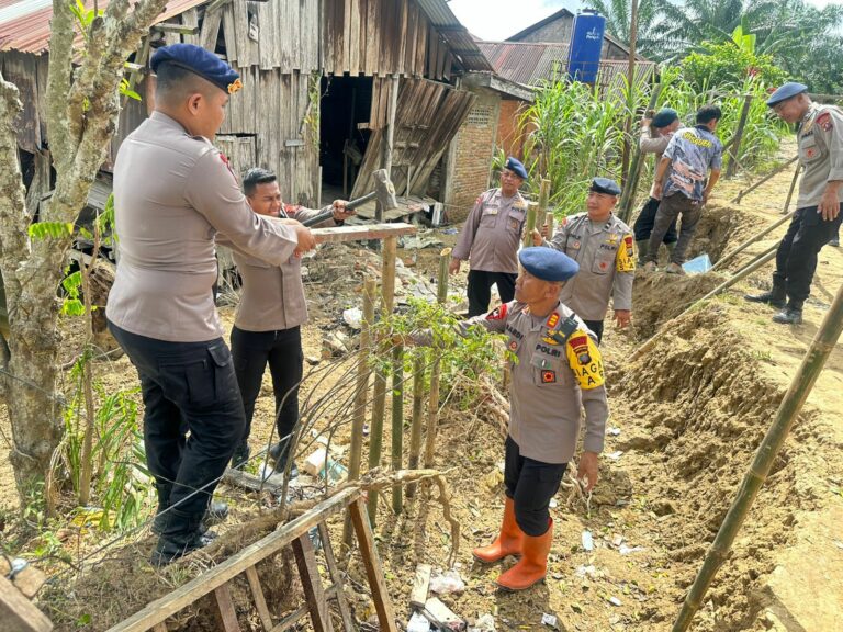 WhatsApp Image 2025-12-09 at 15.42.01