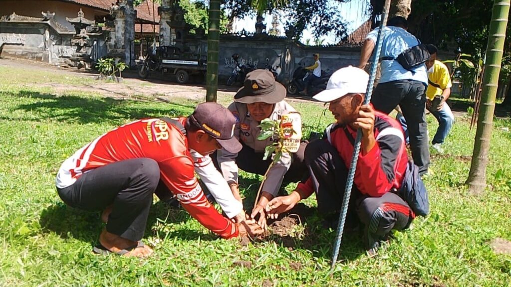 WhatsApp Image 2025-12-12 at 14.56.23 (1)