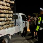 WhatsApp Image 2025-12-13 at 09.07.45