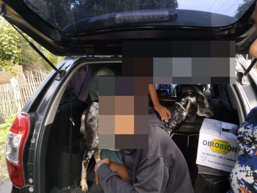 WhatsApp Image 2025-12-16 at 12.30.16