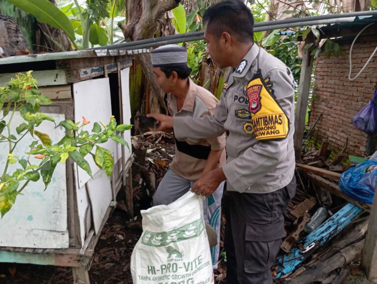 WhatsApp Image 2025-12-18 at 09.12.08