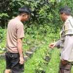 Strategi Polsek Batulayar Tekan Inflasi Melalui Lahan Desa