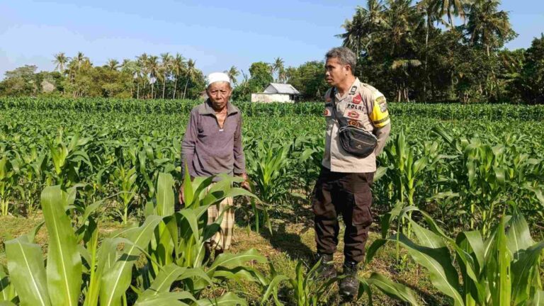 Cara Polsek Batulayar Ubah Pekarangan Jadi Sumber Ekonomi