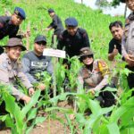 WhatsApp Image 2025-12-29 at 12.30.30