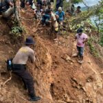 0a16788c-4bee-44b5-9d91-2358330a145c