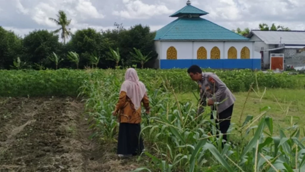 Bhabinkamtibmas Edukasi Warga Telagawaru Manfaatkan Lahan Produktif