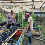 Bhabinkamtibmas Desa Bajur Edukasi Warga Manfaatkan Lahan Sempit