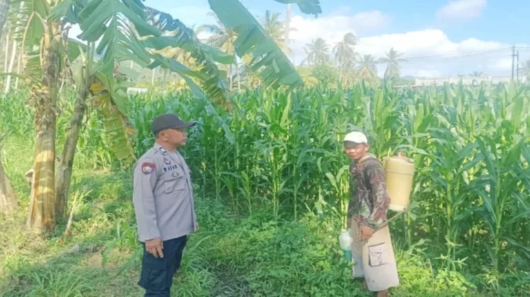 Sinergi Bhabinkamtibmas dan Peternak Gerung Perkuat Pangan