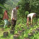 Bhabinkamtibmas Batulayar Edukasi Warga Tanam Sayur di Polibag