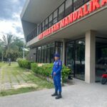 WhatsApp Image 2026-01-03 at 22.10.08