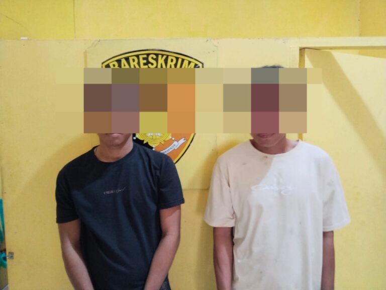 WhatsApp Image 2026-01-05 at 11.52.18