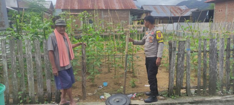 WhatsApp Image 2026-01-06 at 09.18.44