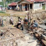 WhatsApp Image 2026-01-08 at 10.04.25