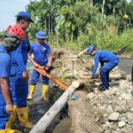 WhatsApp Image 2026-01-08 at 11.13.58