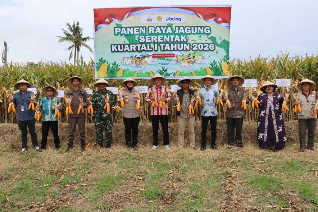 WhatsApp Image 2026-01-08 at 16.48.45