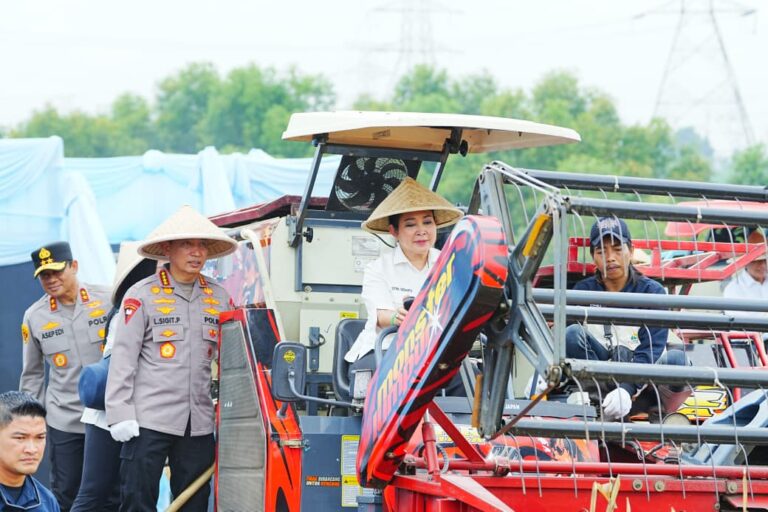 WhatsApp Image 2026-01-08 at 19.16.54