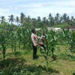 Polri Motivasi Petani Sekotong Barat Optimalkan Lahan Pertanian