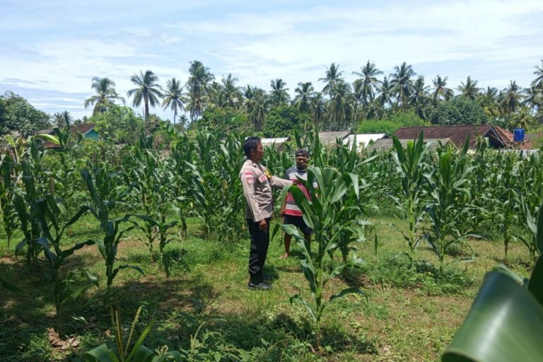 Polri Motivasi Petani Sekotong Barat Optimalkan Lahan Pertanian
