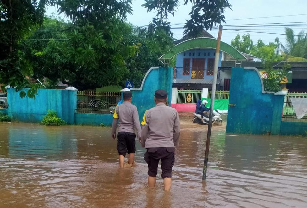 WhatsApp Image 2026-01-10 at 21.52.50