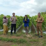 WhatsApp Image 2026-01-11 at 09.08.04