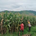 WhatsApp Image 2026-01-12 at 17.57.52