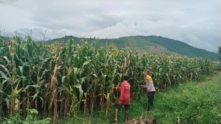 WhatsApp Image 2026-01-12 at 17.57.52