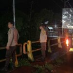 WhatsApp Image 2026-01-12 at 18.16.06