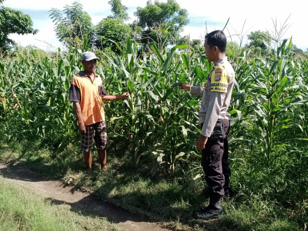 WhatsApp Image 2026-01-13 at 11.12.53