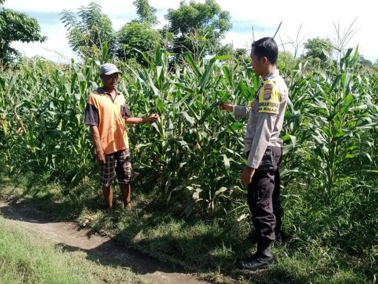 WhatsApp Image 2026-01-13 at 11.12.53