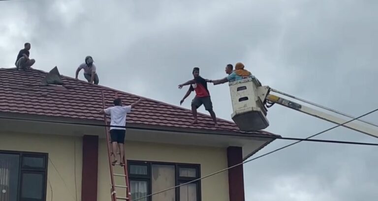 WhatsApp Image 2026-01-13 at 11.38.27