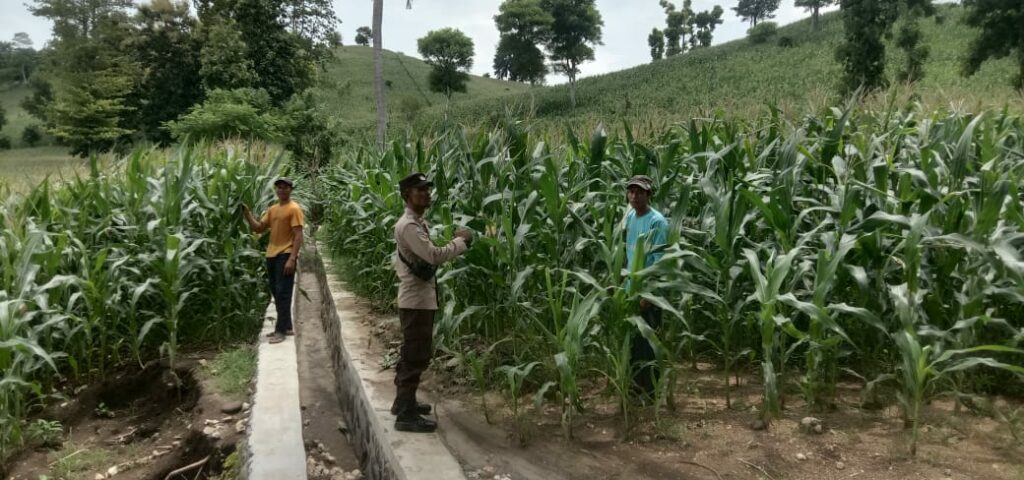 WhatsApp Image 2026-01-15 at 10.43.04