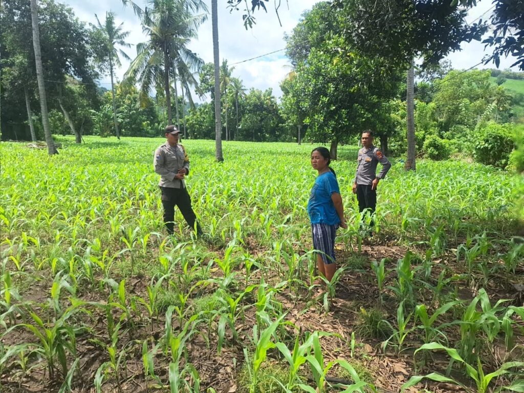 WhatsApp Image 2026-01-19 at 11.55.48 (1)