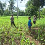 WhatsApp Image 2026-01-19 at 11.55.48 (1)