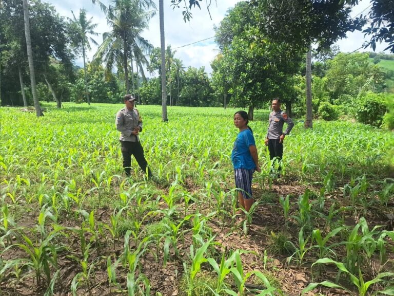 WhatsApp Image 2026-01-19 at 11.55.48 (1)