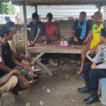 WhatsApp Image 2026-01-20 at 17.09.57