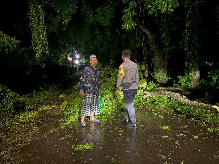 WhatsApp Image 2026-01-21 at 08.52.00