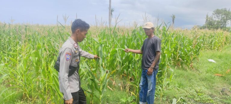 WhatsApp Image 2026-01-21 at 13.05.07