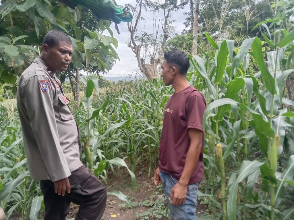 WhatsApp Image 2026-01-21 at 13.27.26