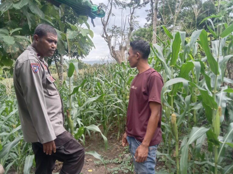 WhatsApp Image 2026-01-21 at 13.27.26