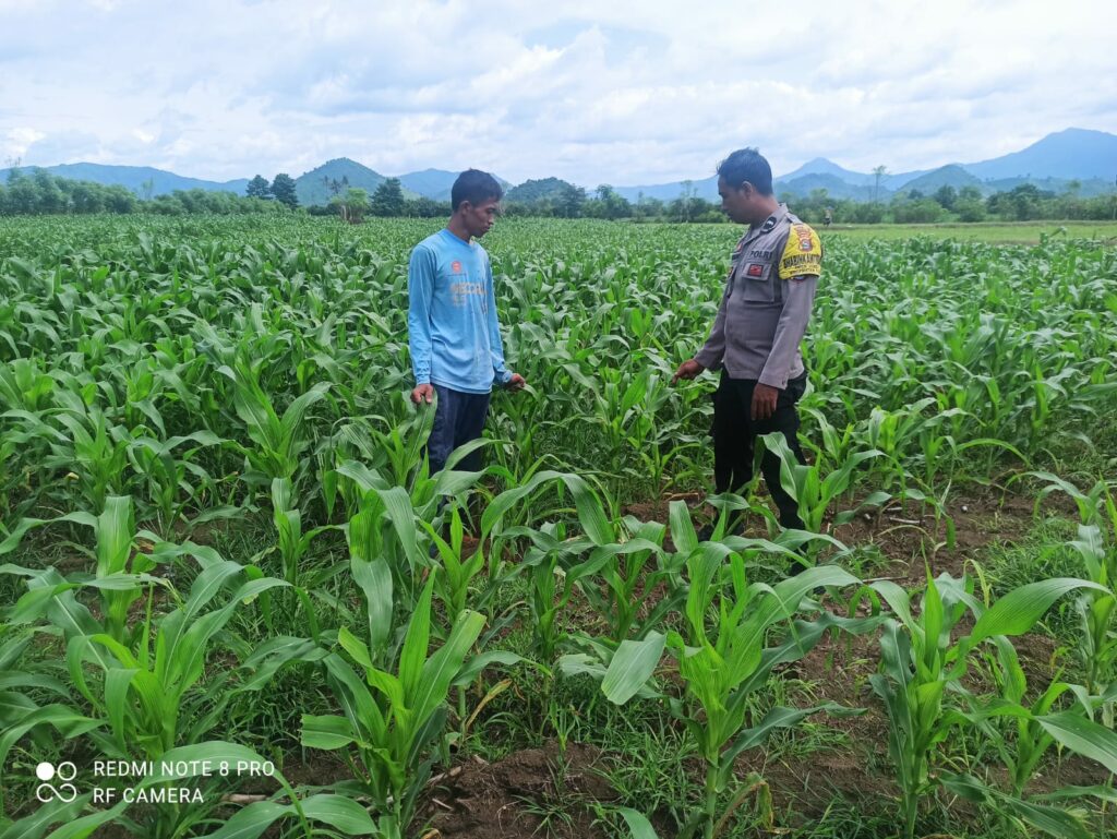 WhatsApp Image 2026-01-22 at 21.35.03