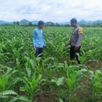 WhatsApp Image 2026-01-22 at 21.35.03