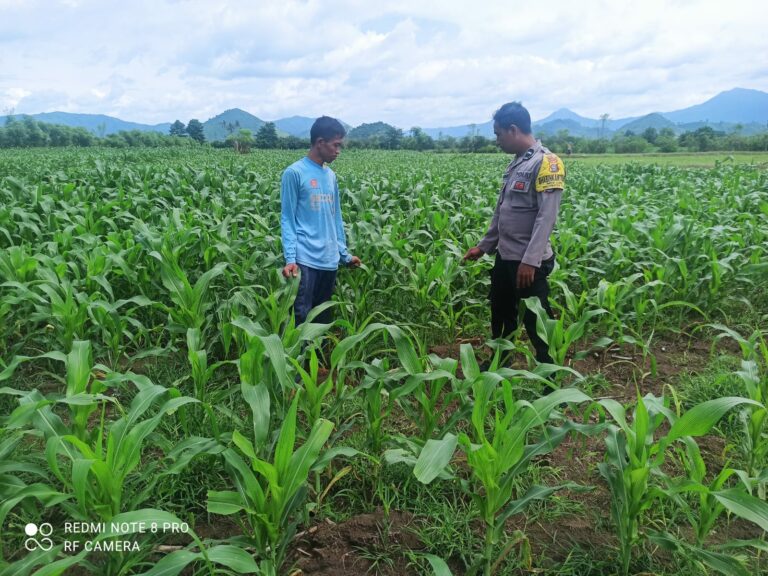 WhatsApp Image 2026-01-22 at 21.35.03