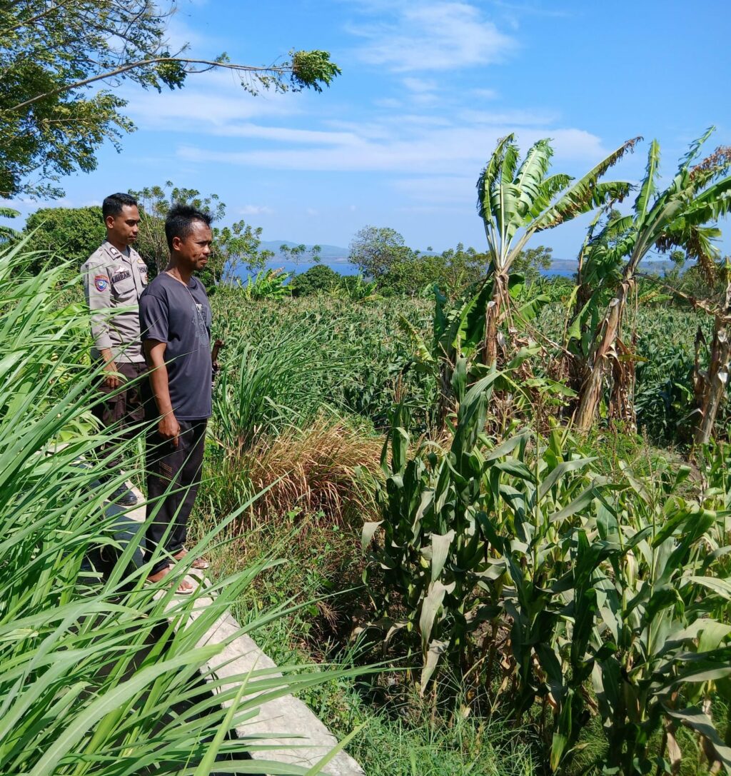 WhatsApp Image 2026-01-22 at 21.47.02