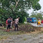 WhatsApp Image 2026-01-23 at 10.33.58