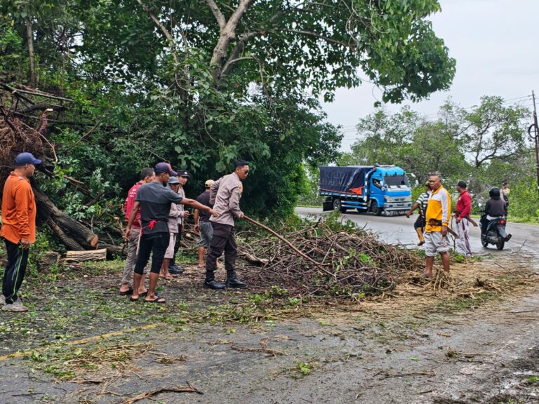 WhatsApp Image 2026-01-23 at 10.33.58