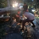 WhatsApp Image 2026-01-23 at 10.34.18