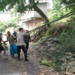 WhatsApp Image 2026-01-24 at 07.09.50