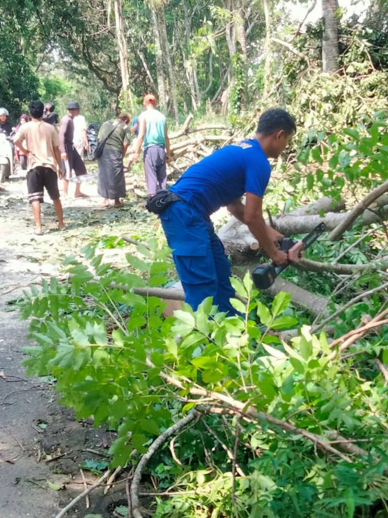 WhatsApp Image 2026-01-24 at 07.33.15