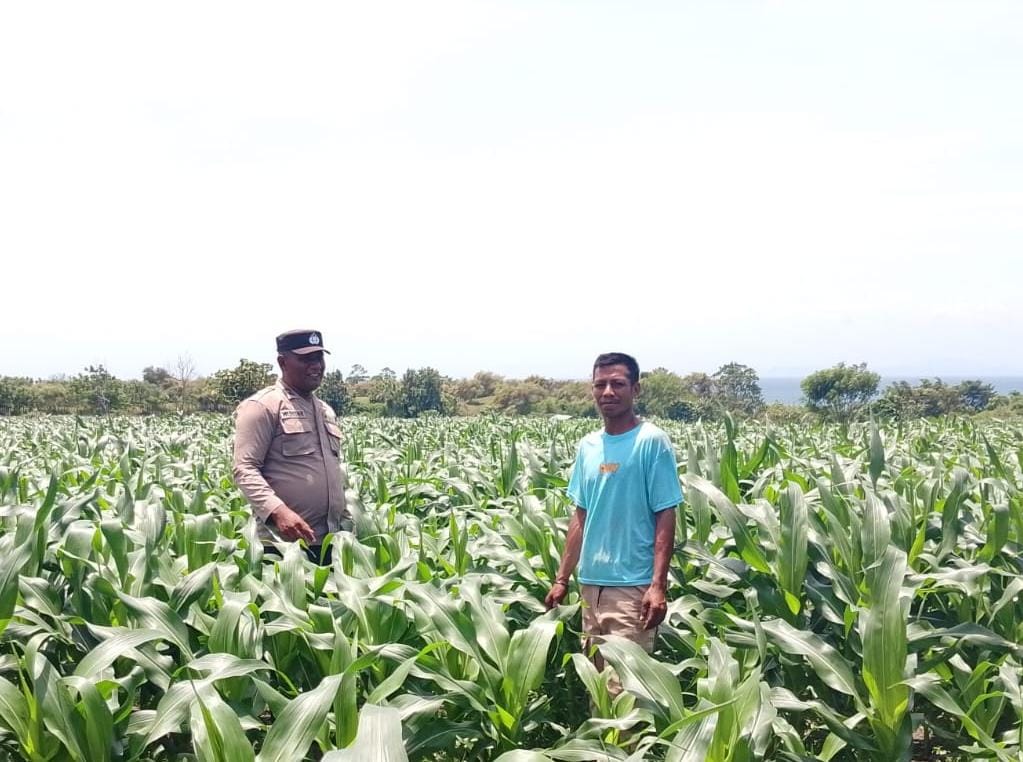 WhatsApp Image 2026-01-24 at 22.51.49